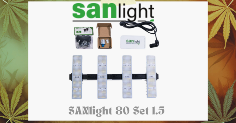 Kein Titel (Facebook-Werbeanzeige) (2)