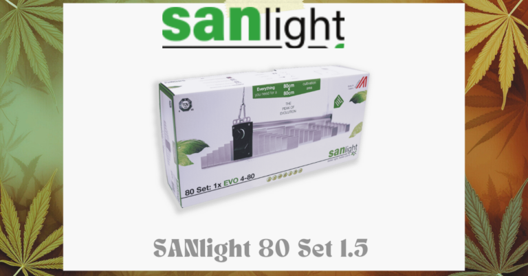 Kein Titel (Facebook-Werbeanzeige) (3)